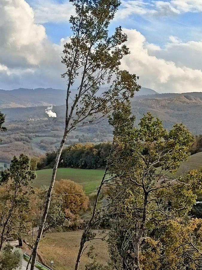 A10 Nel Borgo- Con Giardino Vista Mare Lägenhet Guardistallo Exteriör bild
